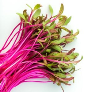 Beets