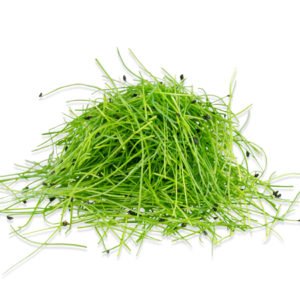 Chives