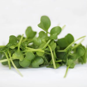 Kale