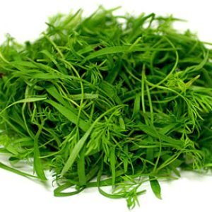 Dill