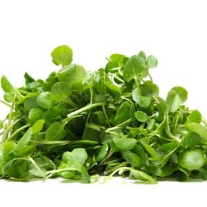 Watercress