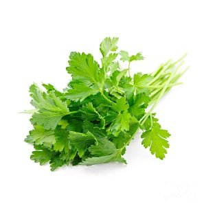 Herb Parsley